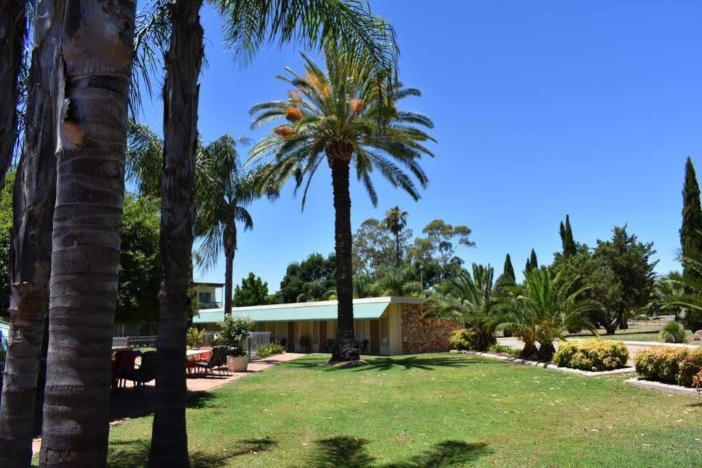 Motel Riverina Leeton Zewnętrze zdjęcie